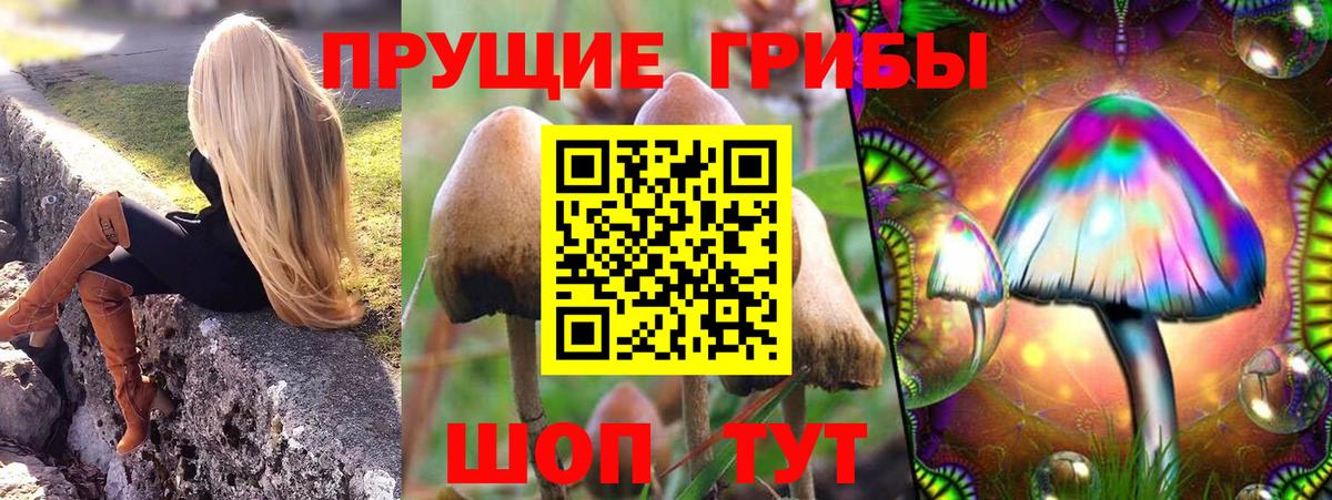 Псилоцибиновые грибы мицелий Ачинск